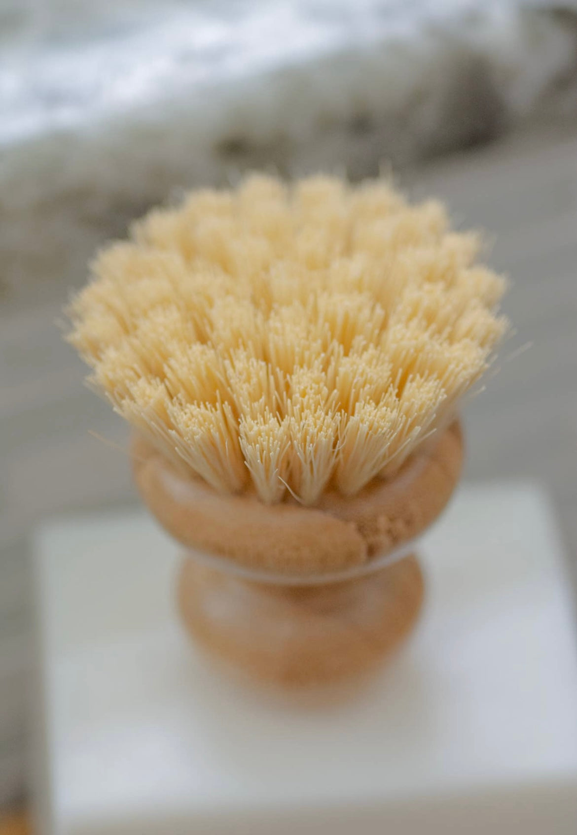 CASA AGAVE® Dish Washing Brush